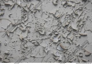 Walls Plaster
